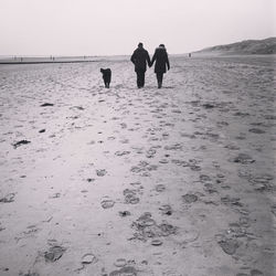 Rear view of silhouette people walking on beach