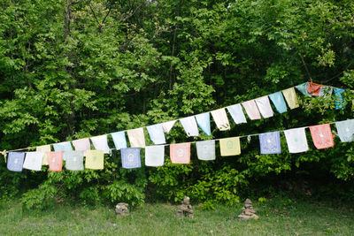 Praying flags hanging against trees