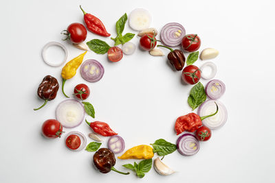 High angle view of various fruits on white background