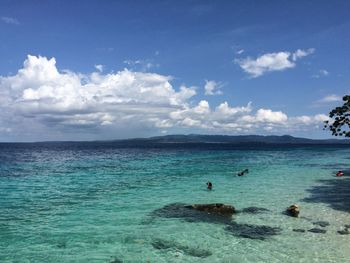 High angle view of woman swimming in sea