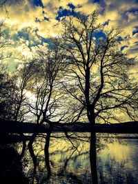 Silhouette bare tree by lake against sky