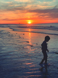 Silhouette people on beach against sky during sunset