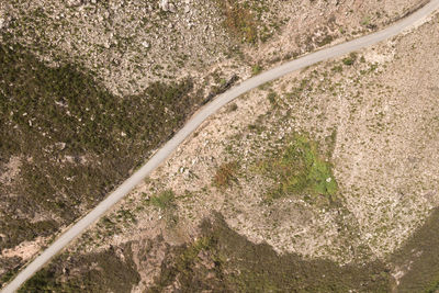 High angle view of road amidst trees