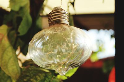 Close-up of light bulb hanging on glass