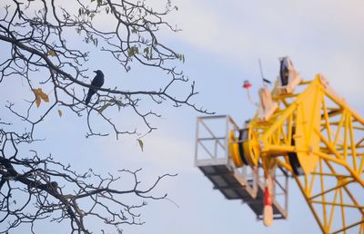 Low angle view of crane against sky