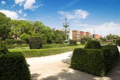 Trees growing in garden against sky