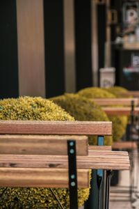 Close-up of empty bench on table