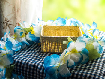 Close-up of blue flowers in basket