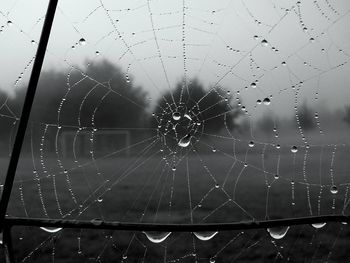 Close-up of spider on web against sky