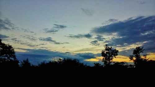 Silhouette trees in forest against sky at sunset