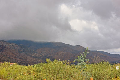 Scenic view of landscape against sky