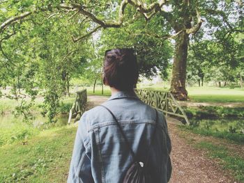 Rear view of man standing in forest