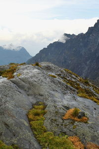 Rock formations above the clouds at rwenzori mountains national park, uganda