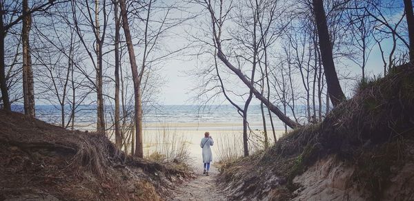 Rear view of man standing by bare trees in forest