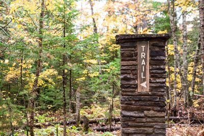 Old ruin in forest