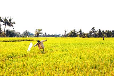 View of field against clear sky