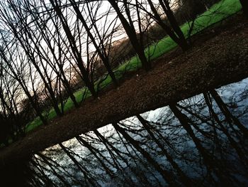 Low angle view of bare trees