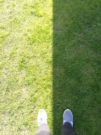 Low section of man standing on grass