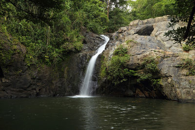 Scenic view of waterfall in forest