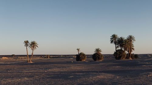 Scenic view of desert against sky