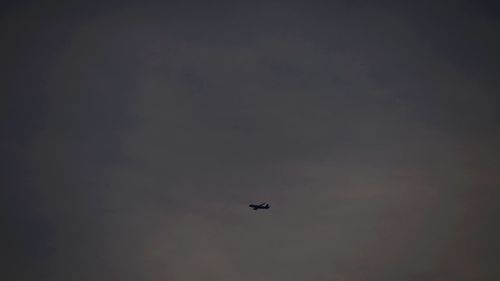 Low angle view of bird flying in sky