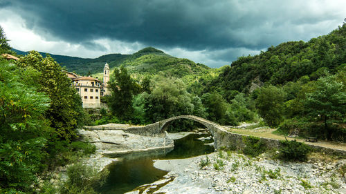 Arch bridge over river amidst trees and buildings against sky