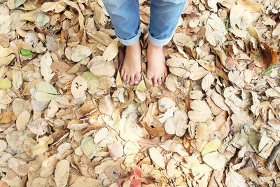 Low section of person standing on dry leaves