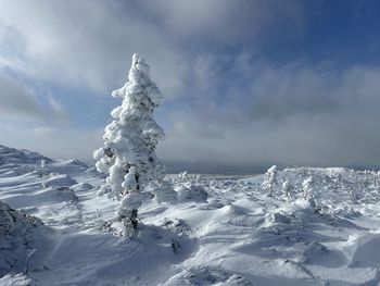 Snow covered mountain against sky