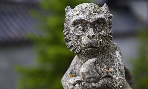 Close-up of animal statue