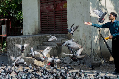 Man feeding pigeons while standing by building