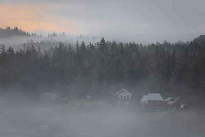 Scenic view of trees and houses against sky