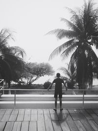 Rear view of a man walking on palm tree
