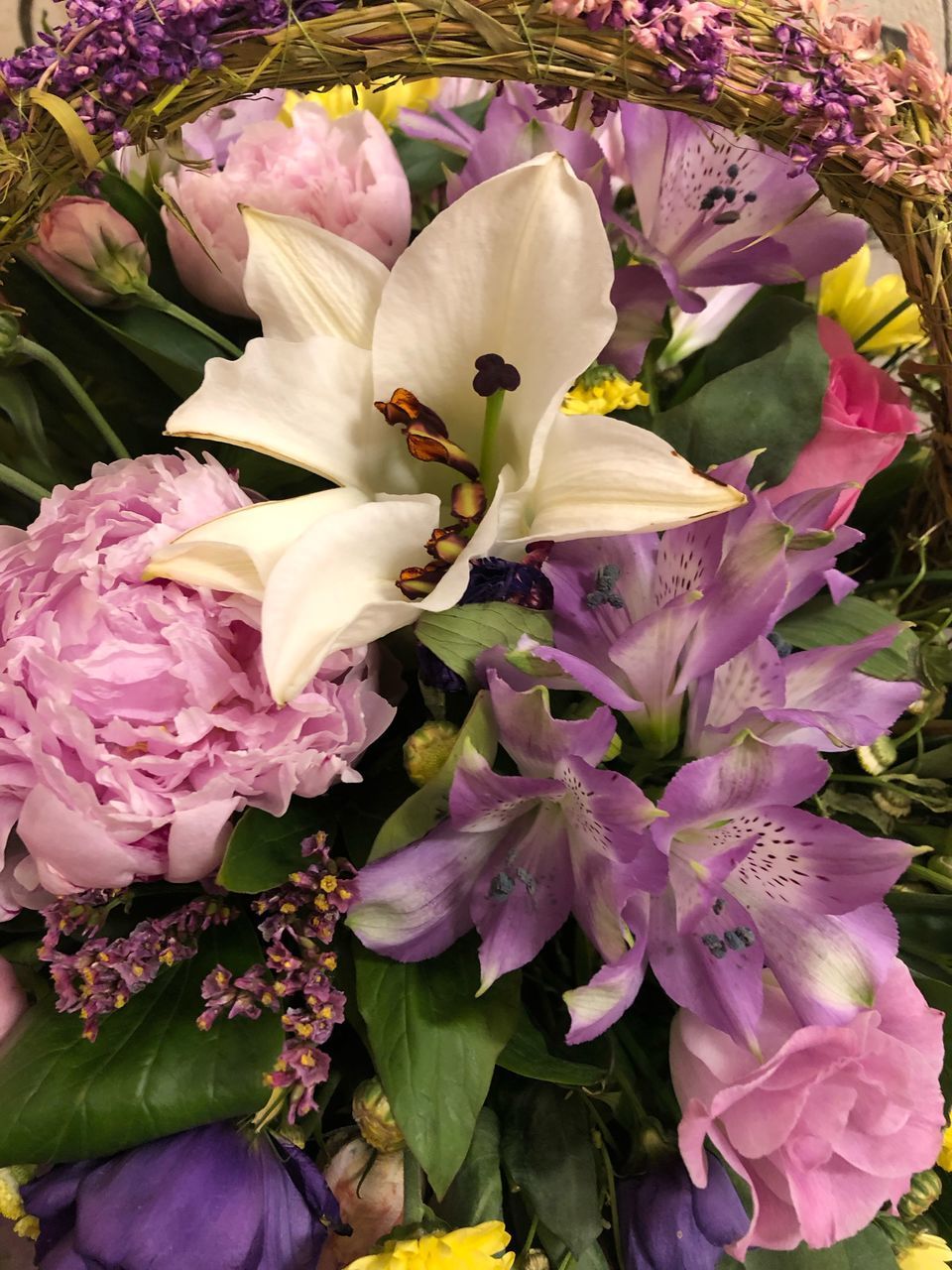 CLOSE-UP OF PINK AND PURPLE FLOWERING PLANT