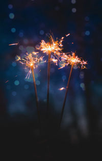 Firework display at night