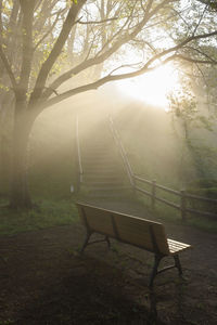 Empty bench in park