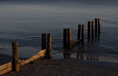 Wooden posts on pier over sea