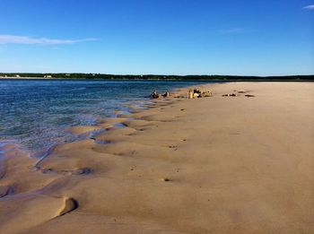 Scenic view of beach against clear blue sky