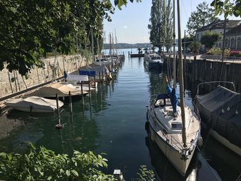 Boats moored in harbor