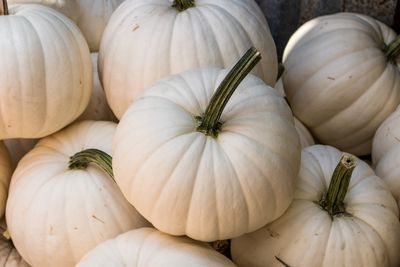 High angle view of pumpkins for sale in market