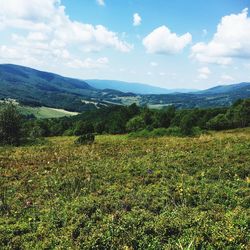 Scenic view of field against sky