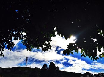 low angle view