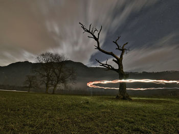 Bare tree on field against sky