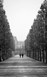 Road leading towards trees