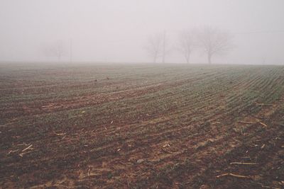 Scenic view of landscape during foggy weather