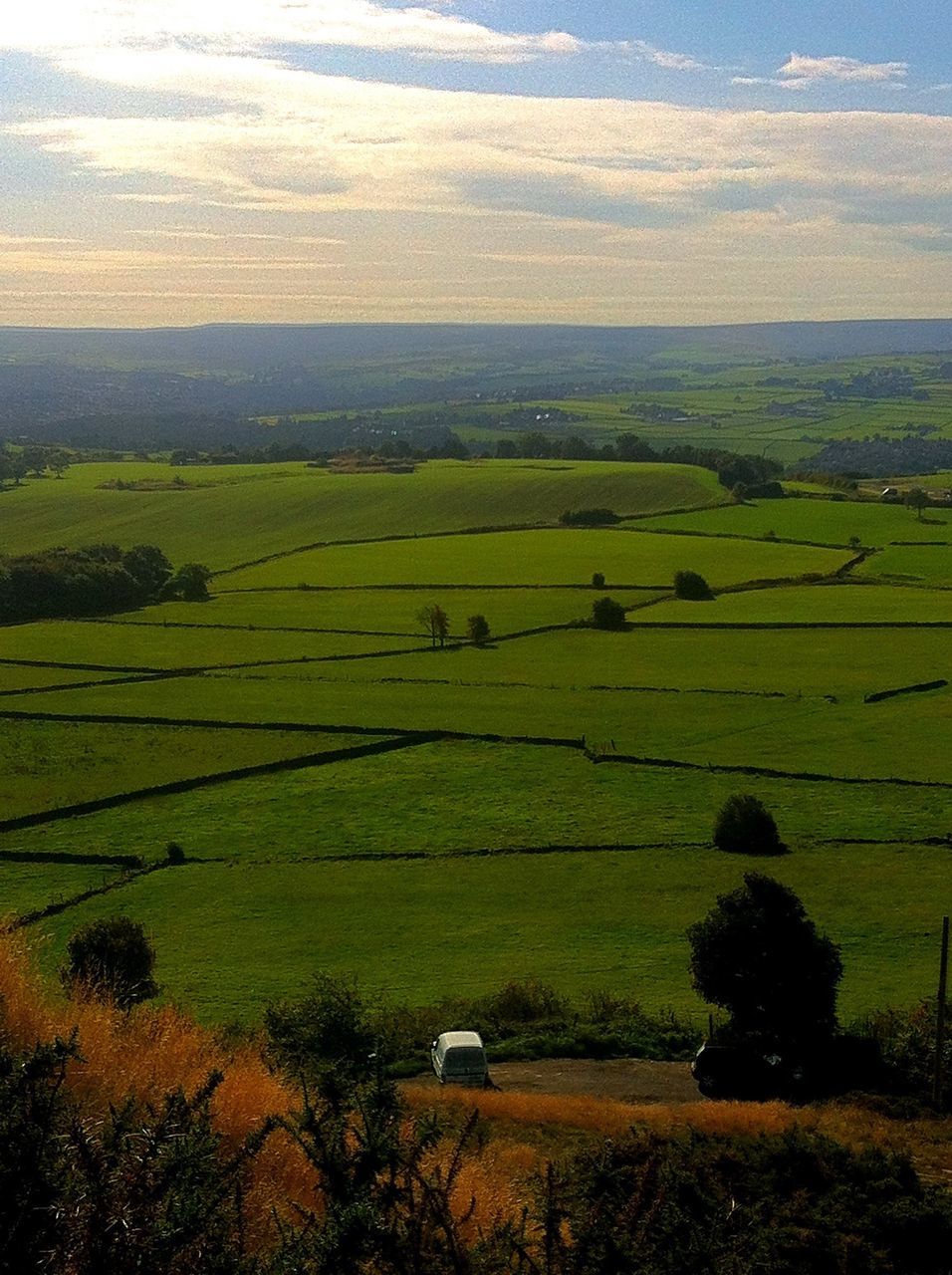 landscape, agriculture, rural scene, field, farm, tranquil scene, tranquility, scenics, cultivated land, beauty in nature, nature, growth, crop, sky, grass, tree, high angle view, green color, horizon over land, plant