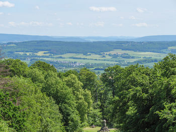 High angle view of plants growing on land against sky