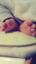 Close-up of baby feet in hand