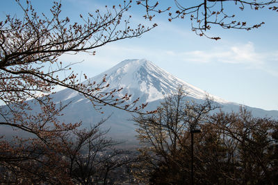 Low angle view of snowcapped mountain against sky