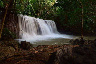 Scenic view of waterfall in forest