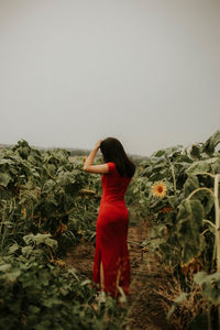 Woman standing amidst sunflower plants against sky